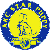AKC Star Puppy Training